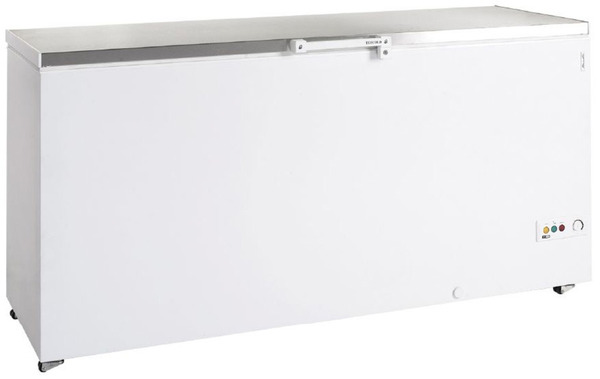 ΚΑΤΑΨΥΚΤΗΣ ΜΠΑΟΥΛΟ TEFCOLD  FR605S SL