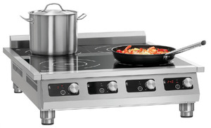 ΕΠΑΓΩΓΙΚΗ ΕΣΤΙΑ BARTSCHER 4P 35-1 TCK  Φωτογραφία 2