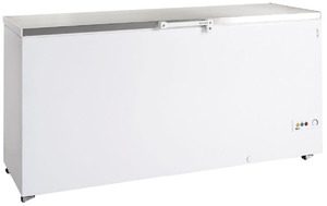 ΚΑΤΑΨΥΚΤΗΣ ΜΠΑΟΥΛΟ TEFCOLD  FR605S SL Φωτογραφία 1