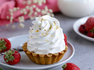 ΑΦΡΟΓΑΛΙΕΡΑ-ΣΑΝΤΙΓΙΕΡΑ 2 ΛΙΤΡΩΝ TELME PRIMA 2 Φωτογραφία 7